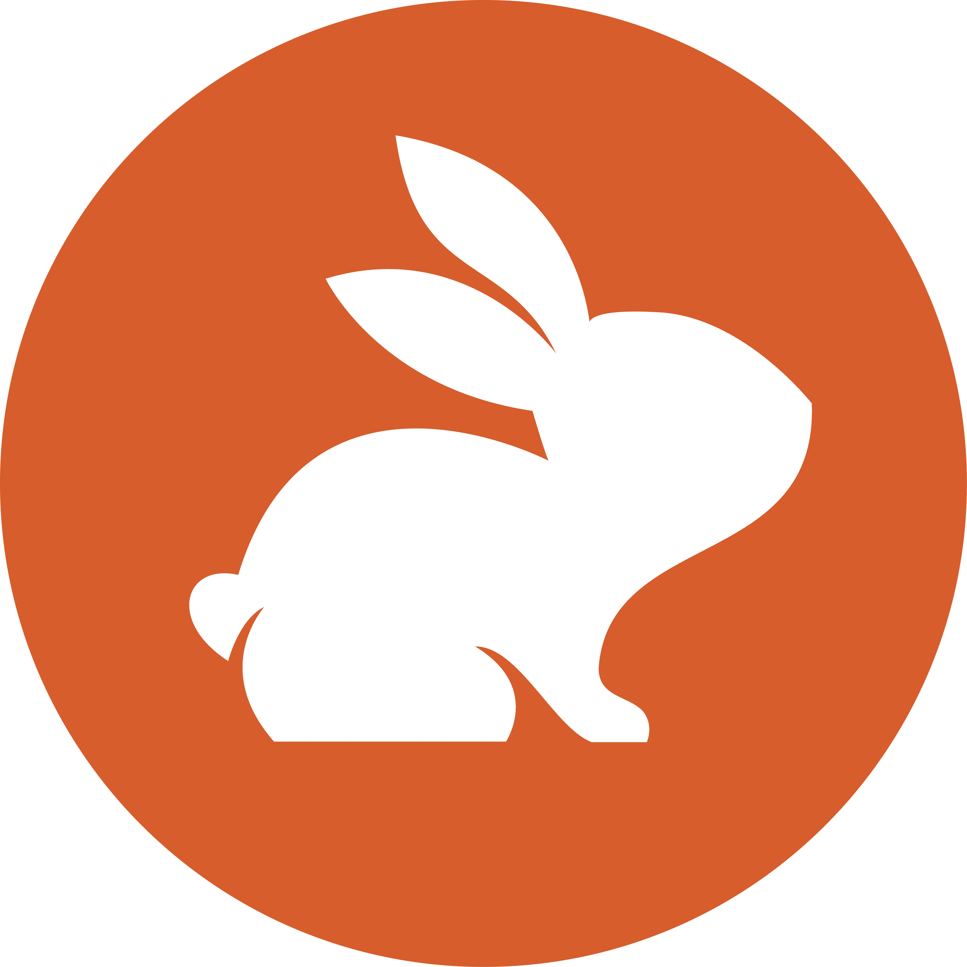 CodeRabbit